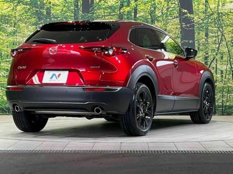 CX-30