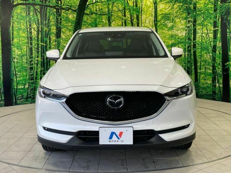 CX-5-13