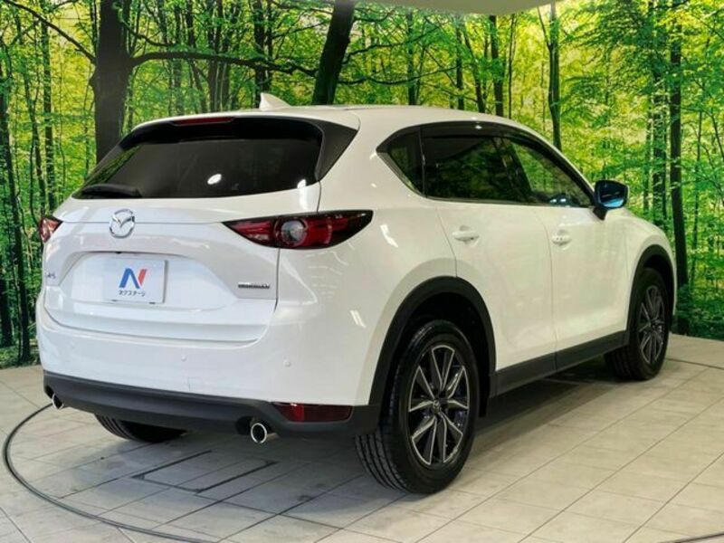 CX-5-16