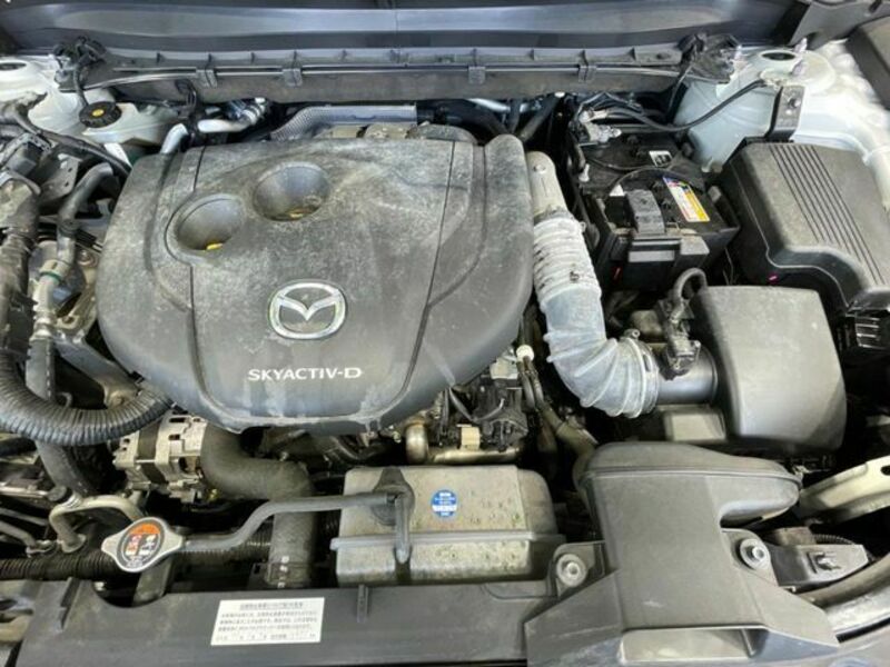 CX-5-17