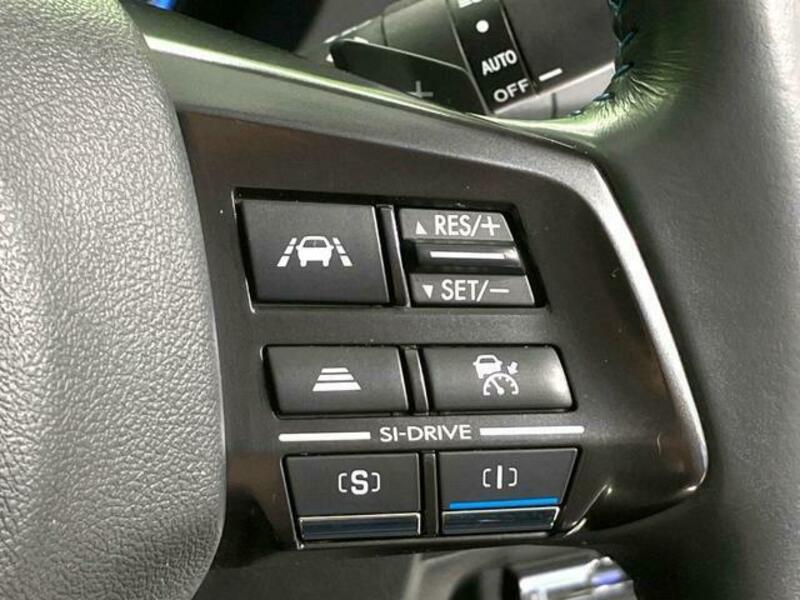 LEVORG-4