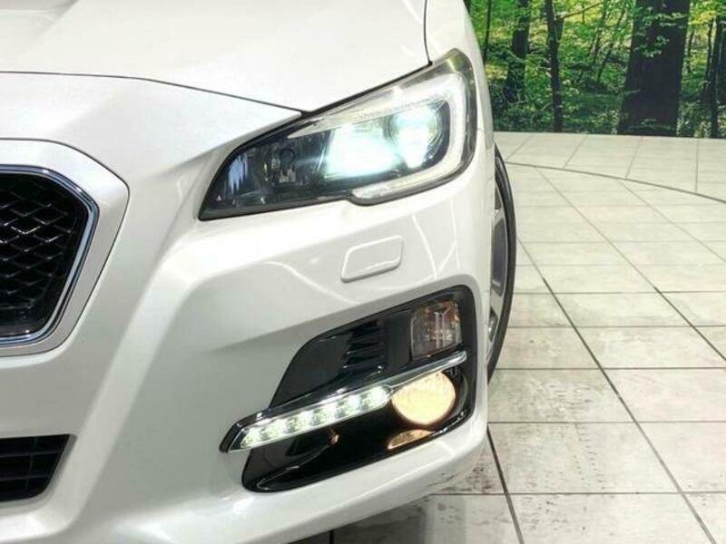 LEVORG-10