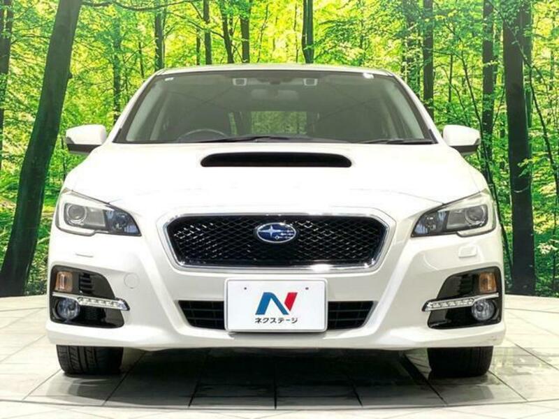 LEVORG-13