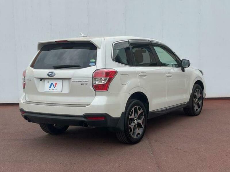FORESTER-16