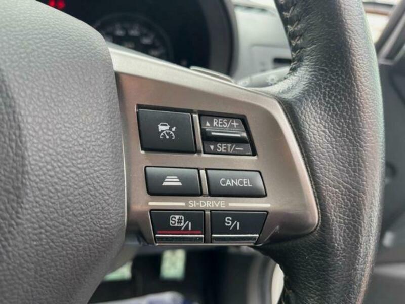 FORESTER-5
