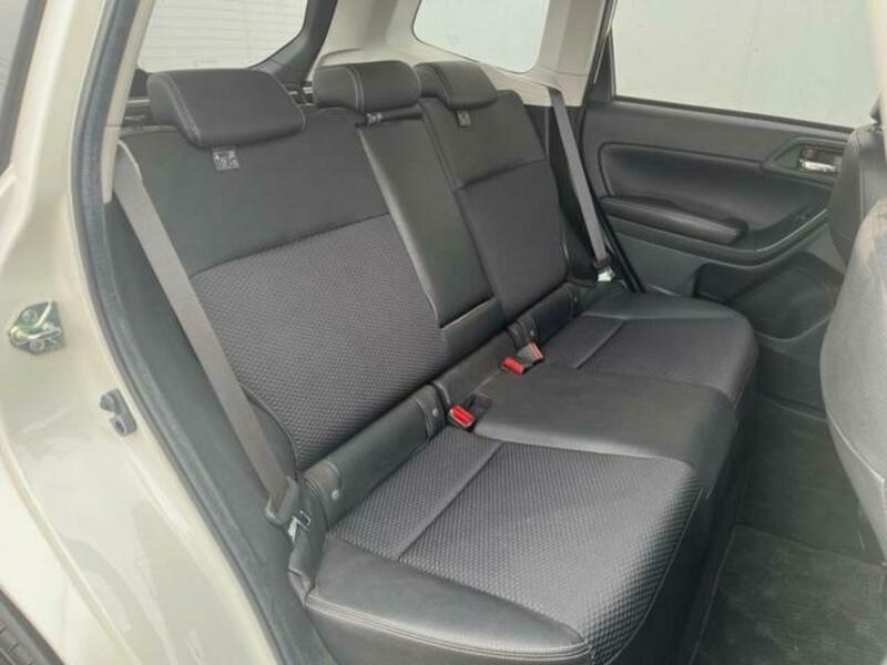 FORESTER-8