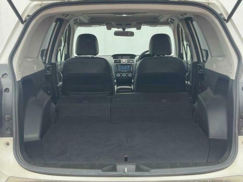 FORESTER-9
