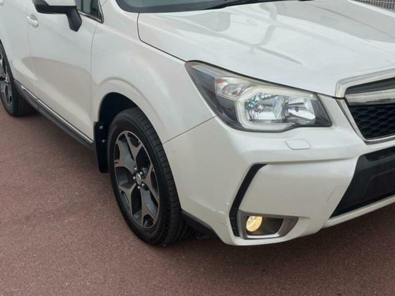 FORESTER-11
