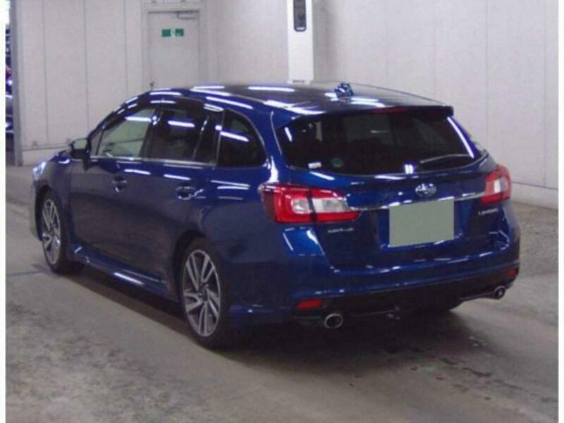 LEVORG