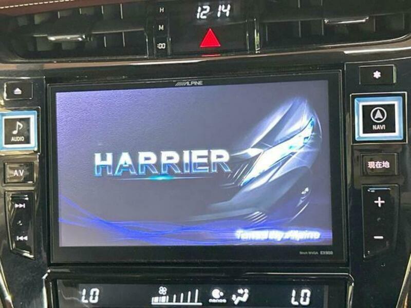 HARRIER