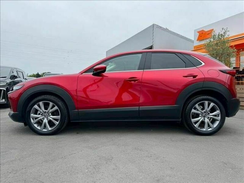 CX-30