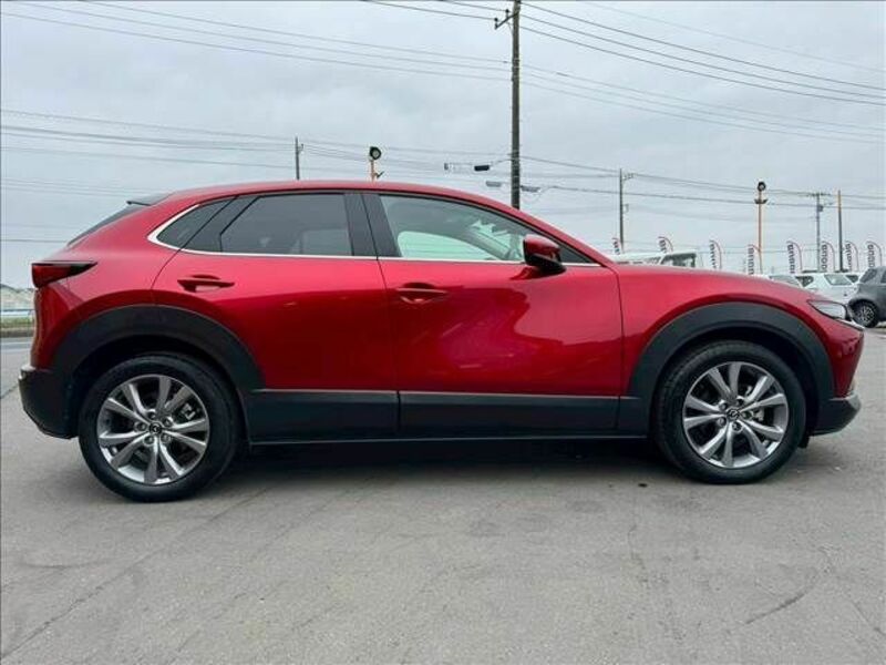CX-30