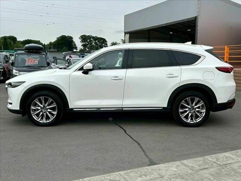 CX-8