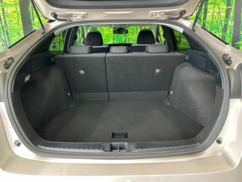 PRIUS-9