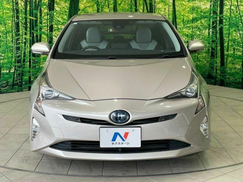 PRIUS-13