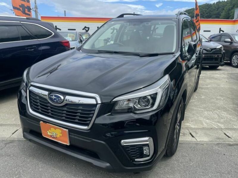 FORESTER