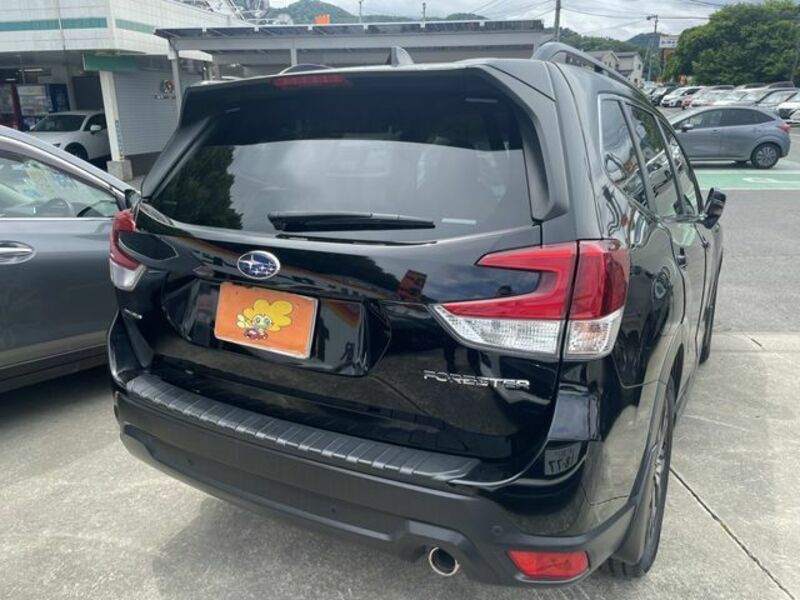 FORESTER