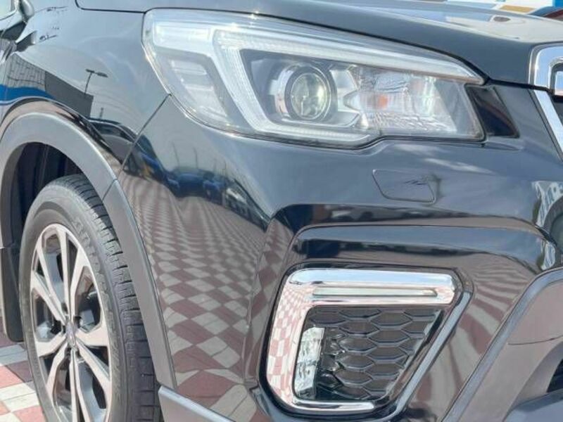 FORESTER