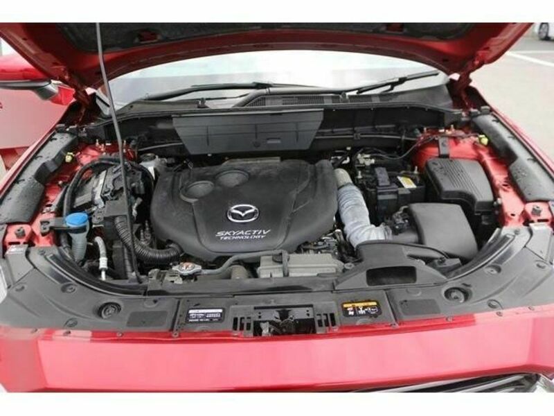 CX-8