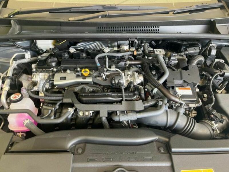 PRIUS-17