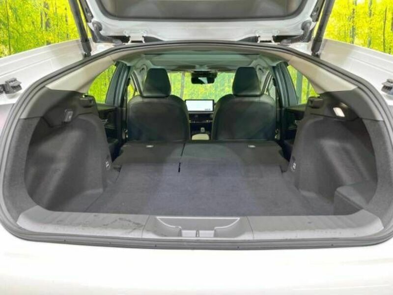 PRIUS-10