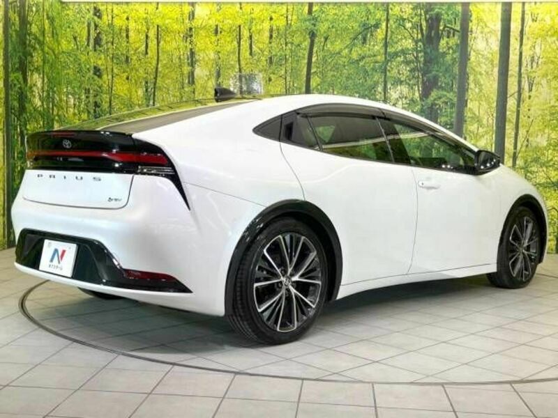 PRIUS-17