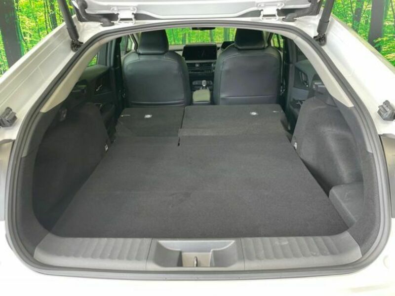 PRIUS-9