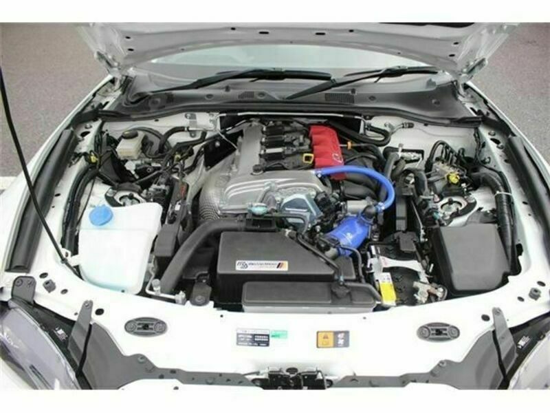 ROADSTER RF