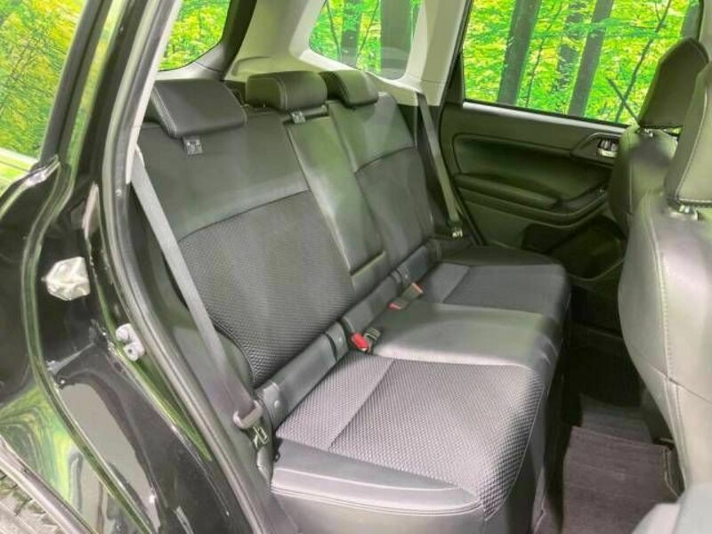 FORESTER