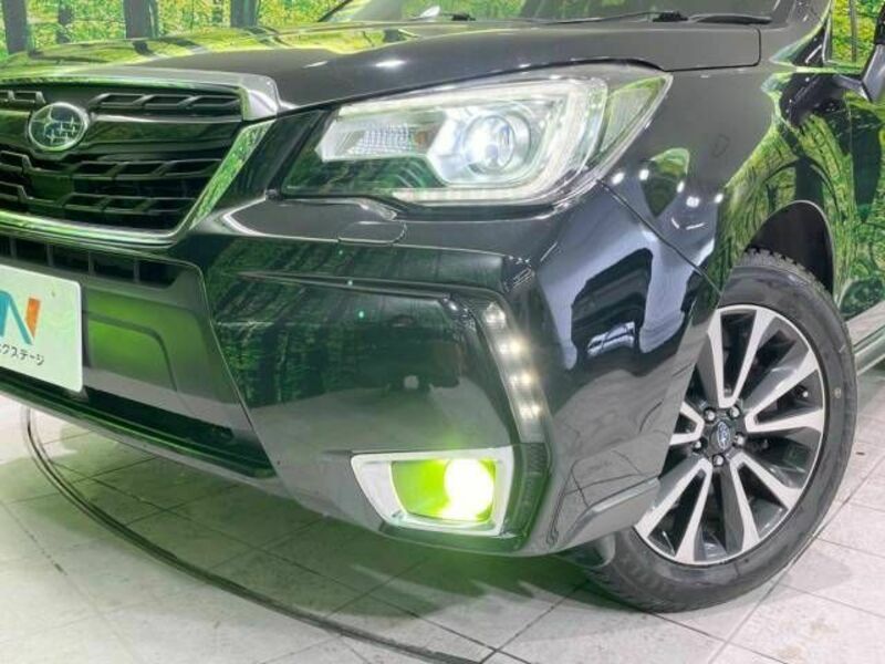 FORESTER