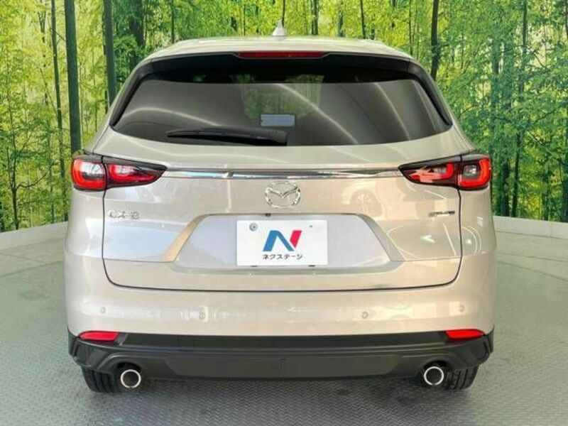 CX-8-15