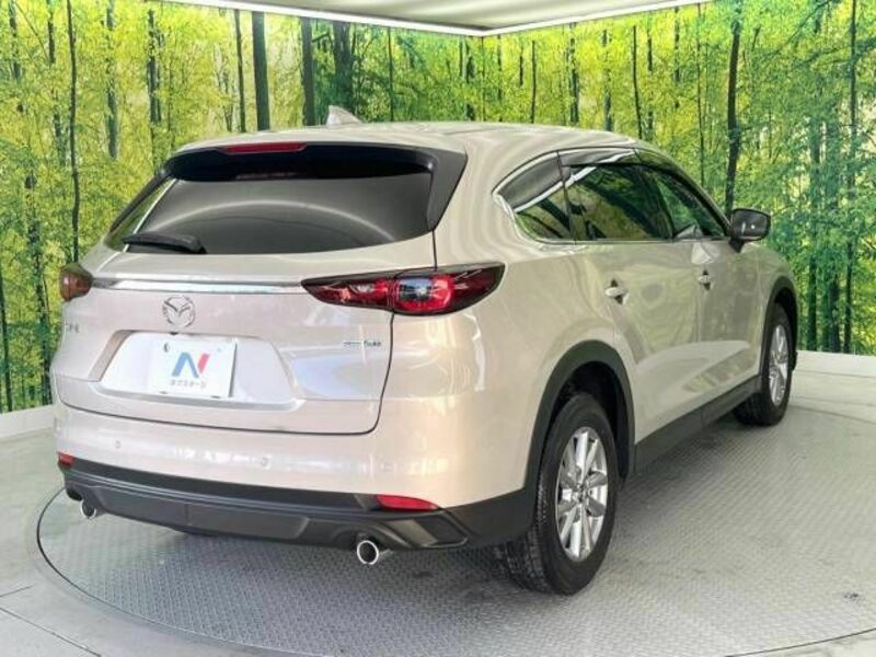 CX-8-17