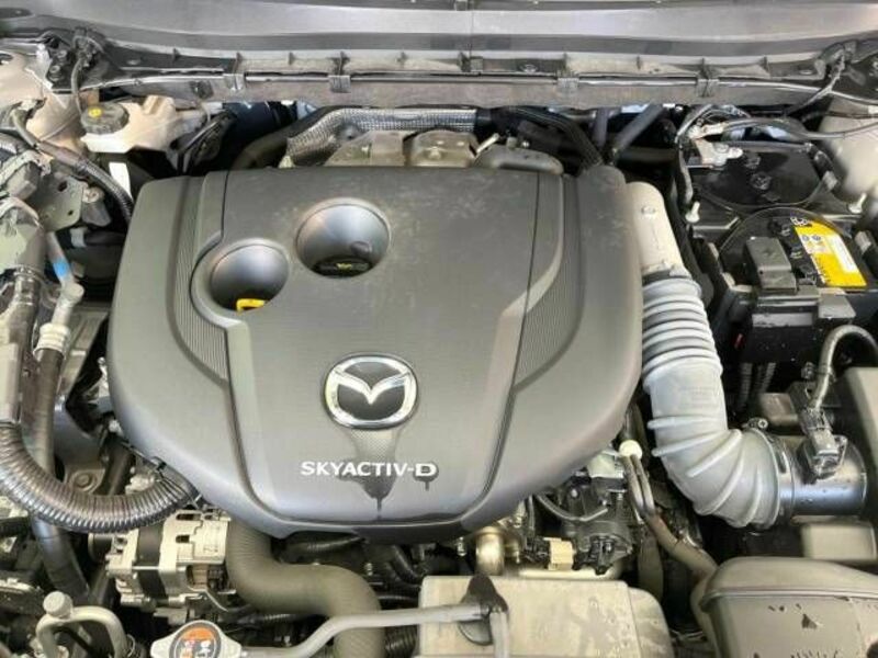 CX-8-18