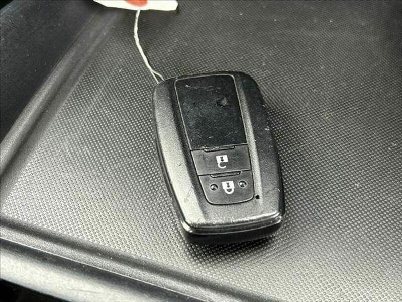PRIUS-21