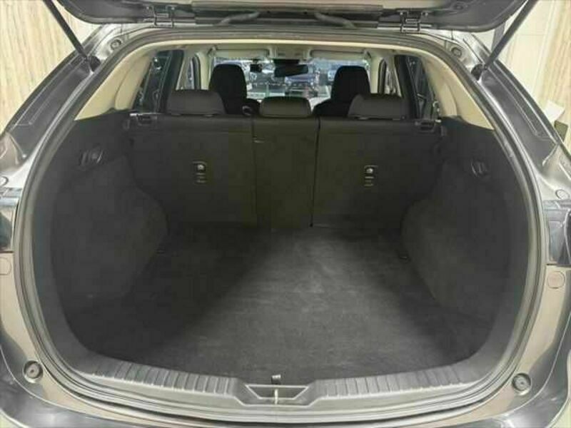CX-5-11