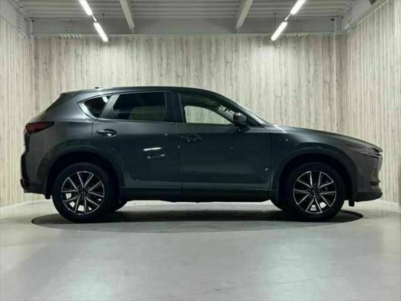 CX-5-17