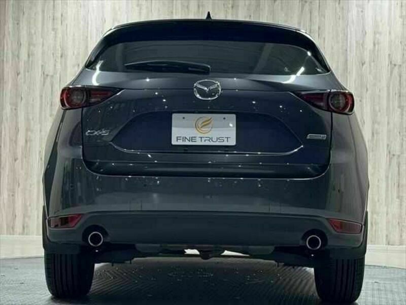 CX-5-19