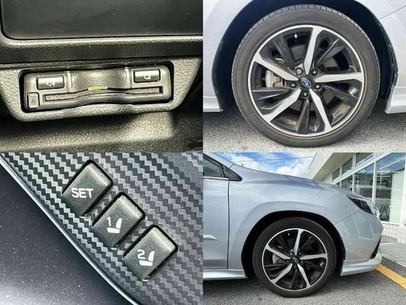 LEVORG