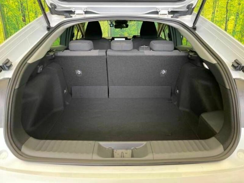 PRIUS-10