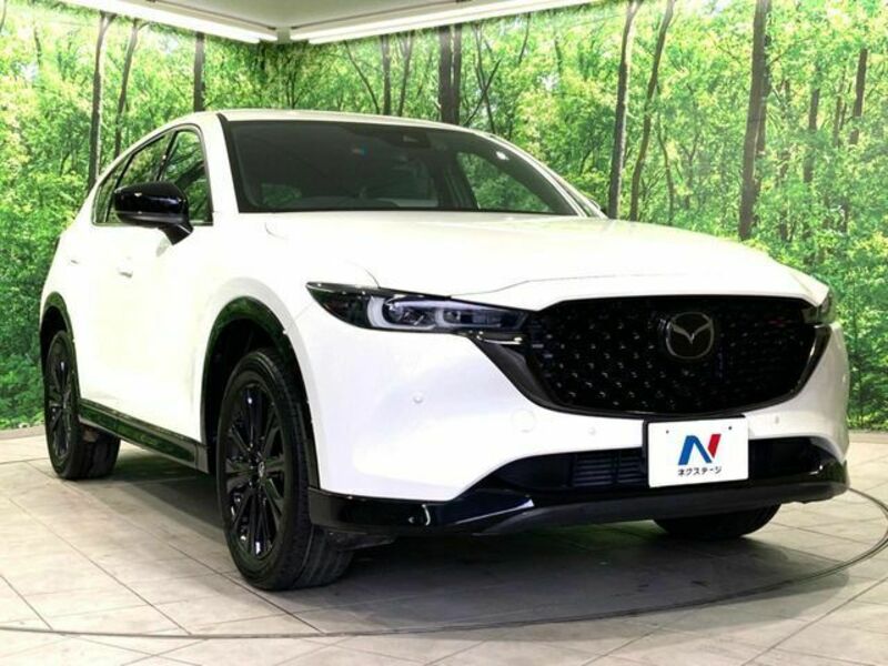 CX-5-15