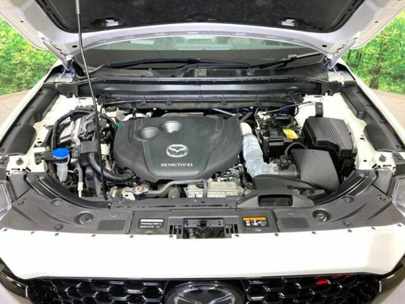 CX-5-17