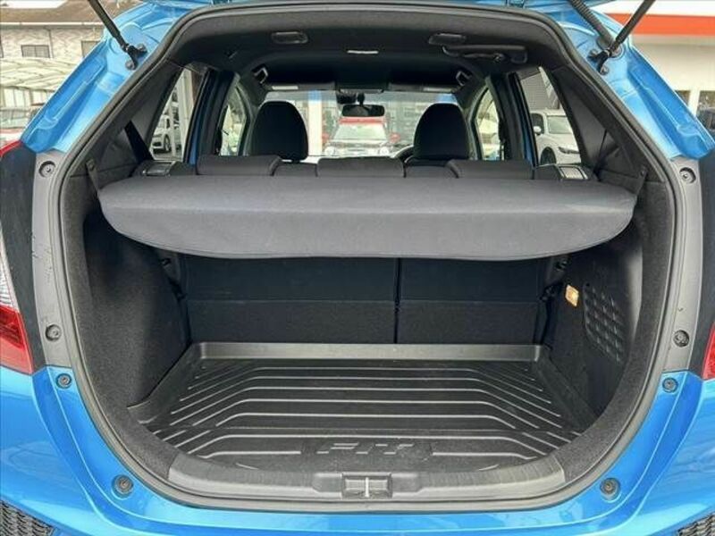 FIT HYBRID-19