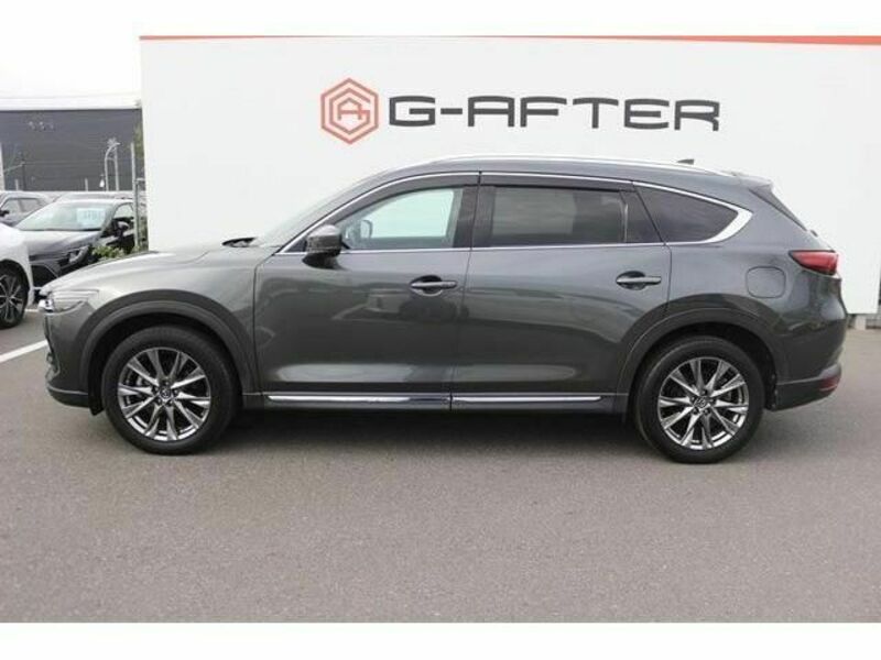 CX-8