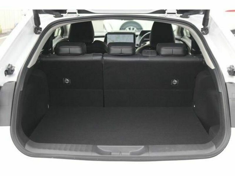PRIUS-16