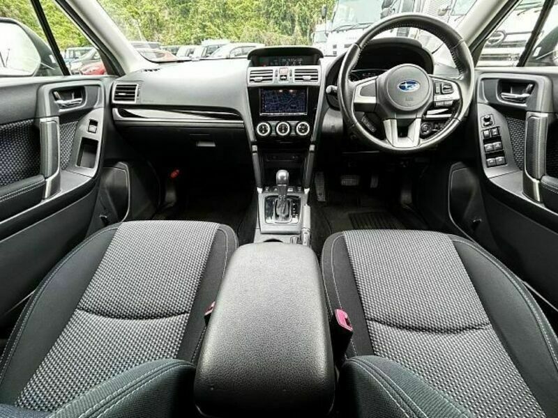 FORESTER-1
