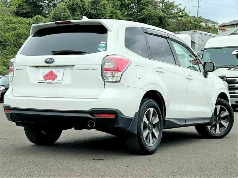 FORESTER-2