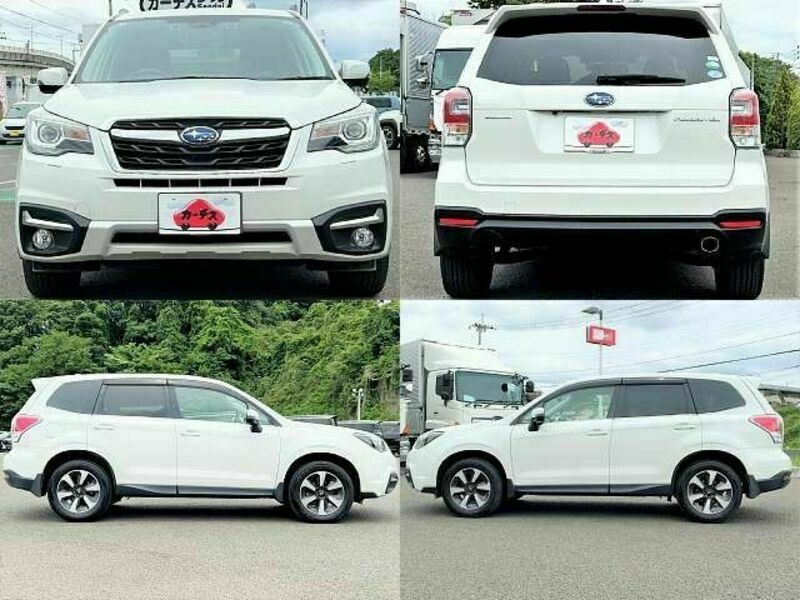 FORESTER-3