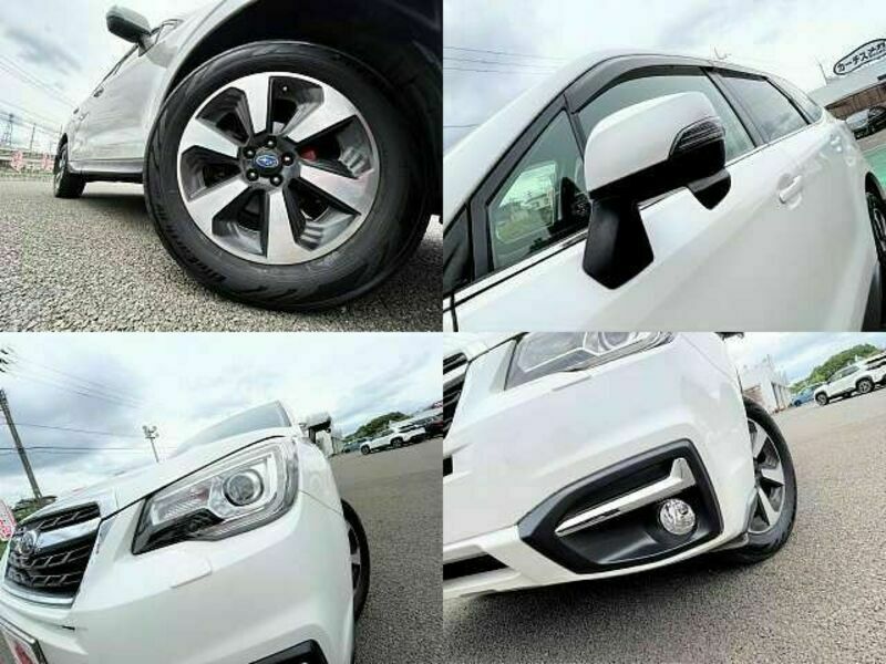 FORESTER-4