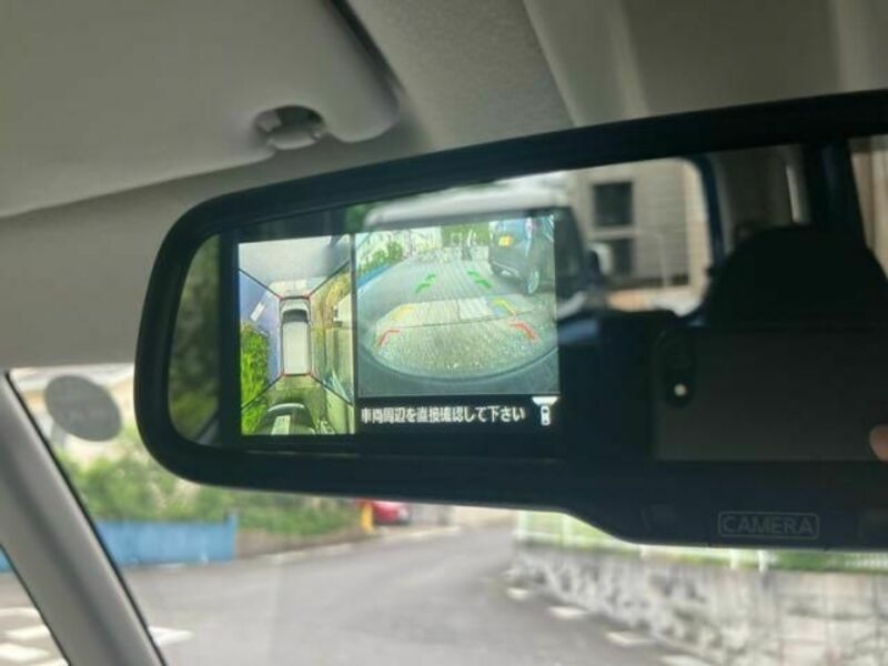 DAYZ ROOX