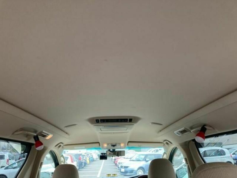 ALPHARD-28